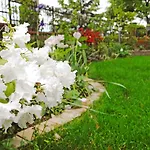 Dimora Morelli גוביו