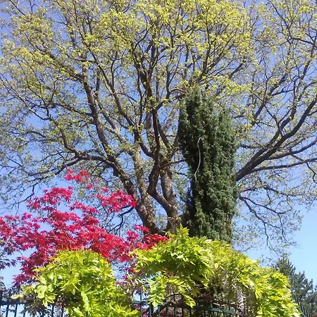 Couette-café Dimora Morelli