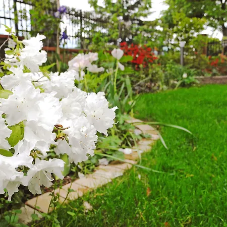 Dimora Morelli 구비오