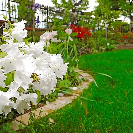 Dimora Morelli فندق مبيت وإفطار غوبيو