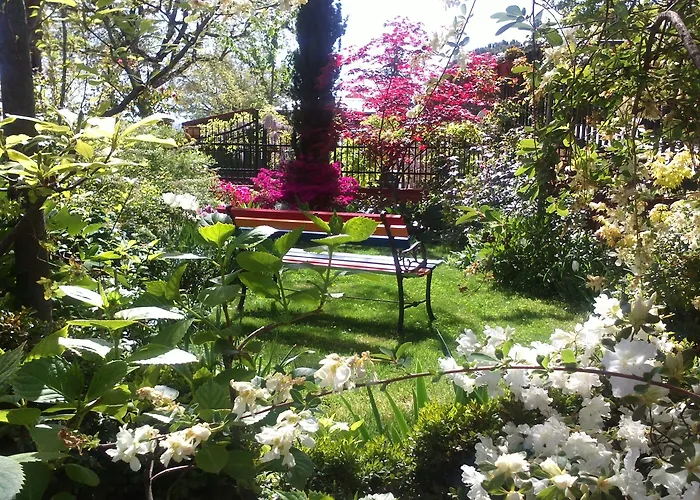 Bed & Breakfast Dimora Morelli Gubbio