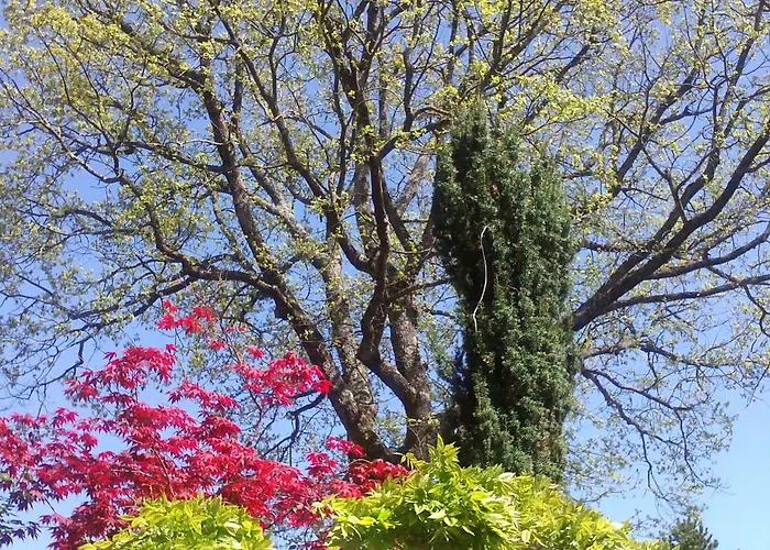 Bed & Breakfast Dimora Morelli