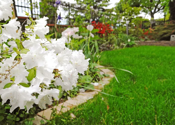 Dimora Morelli Gubbio